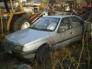 Bertha